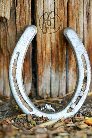 frickphoto.com