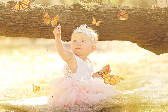 one-year-old-birthday-girl-party-crown-tiera-baby-pink-butterflies-galore-on-the-rocks-photography-wm-sm