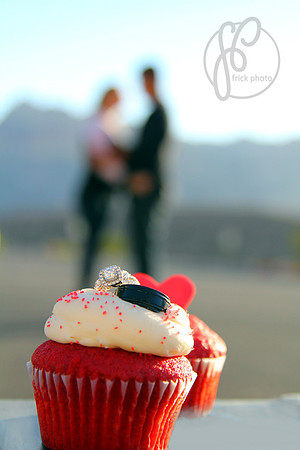 FrickPhoto.com